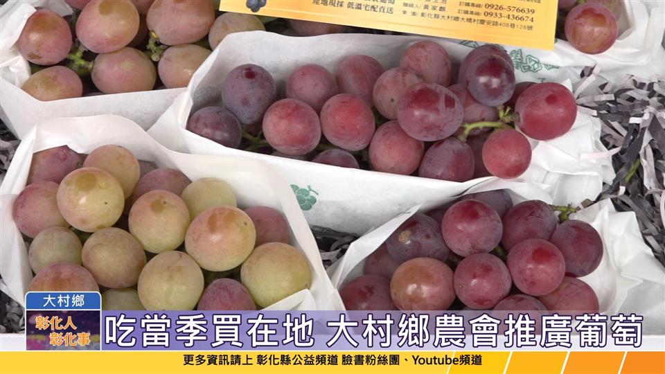 113-06-08 來彰化吃葡萄正著時！ 大村鄉農會推廣葡萄及農特產品